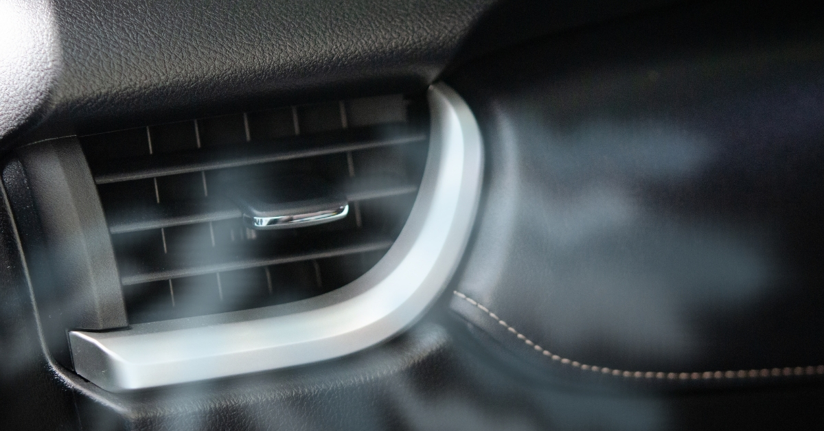 Καθαρό αυτοκίνητο, χαρούμενος σκύλος